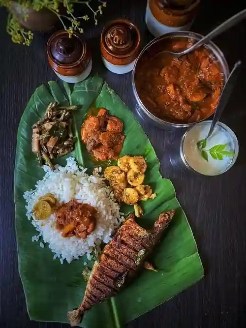 Non Veg Meals 2